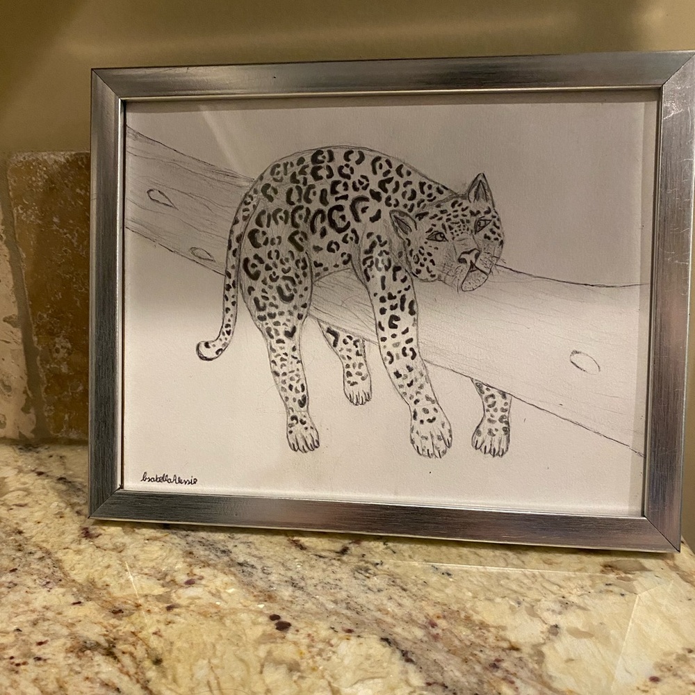 framed sketch